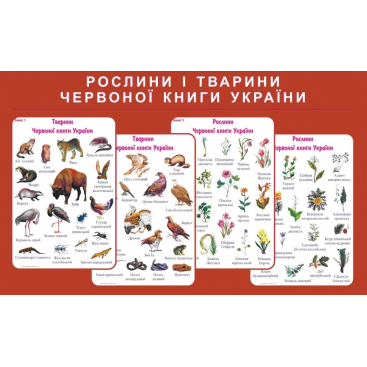 Набор плакатов "Растения и животные Красной книги Украины" - Фото №1