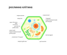 Об'ємні моделі