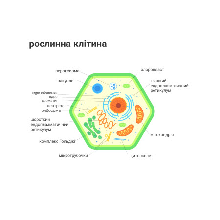 Об'ємні моделі