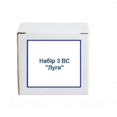 Набір №3 ВС "Луги"