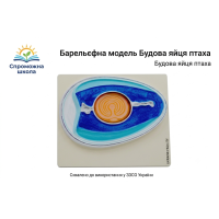 Барельєфна модель Будова яйця птаха 40х40 см