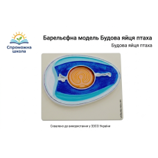 Барельєфна модель Будова яйця птаха 40х40 см