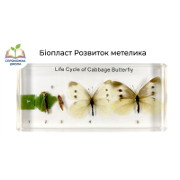 Біопласт Розвиток метелика